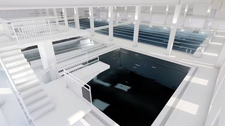 Havainnekuva uimahallin sisätiloista hyppyaltaan viereltä.